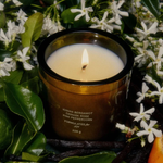 Night Blooming Jasmine & Damask Rose Candle