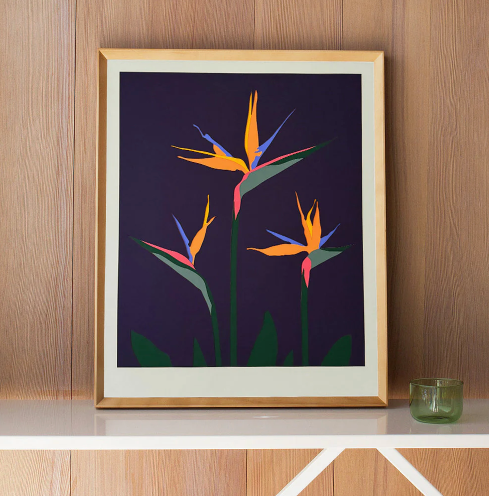 Aubergine Bird of Paradise Framed Print