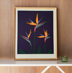 Aubergine Bird of Paradise Framed Print