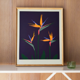 Aubergine Bird of Paradise Framed Print